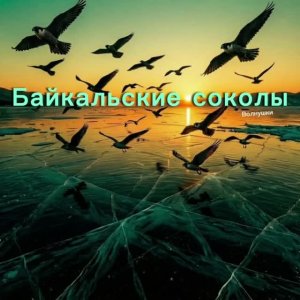Байкальские соколы#Волнушки