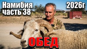 купили барана, чтобы накормить старателей. часть 38.