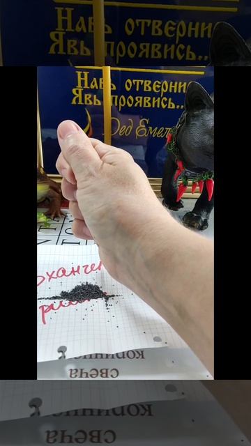 Суд судом, век веком☝#татьянаясная#знахарь#знания#