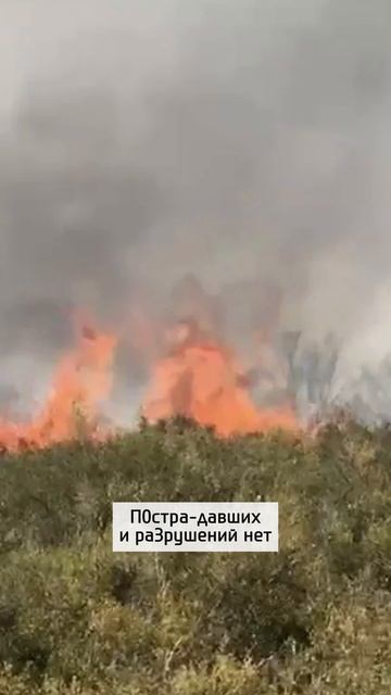 Взрыв или пожар? ЧП произошло на юге Казахстана