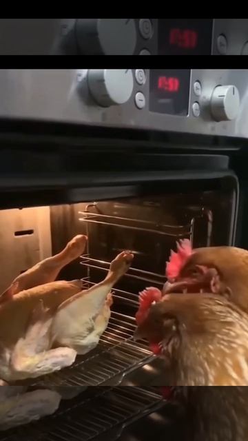 бедный Саня