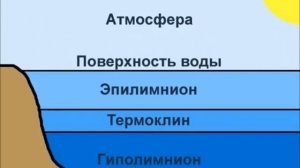 Простое объяснение тону, почему рыба лучше клюёт в ветренную погоду