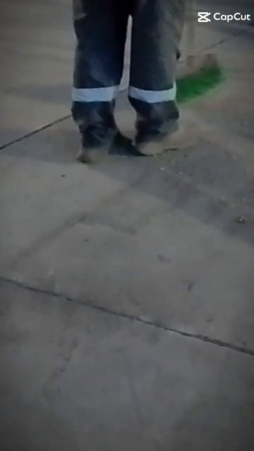 Работа не волк,