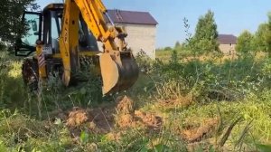 Расчистка участка под строительство с ценами Борьба с лесом на заросшем участке