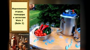 Маринованные огурцы, помидоры в автоклаве Вейн 2 (Wein 2)