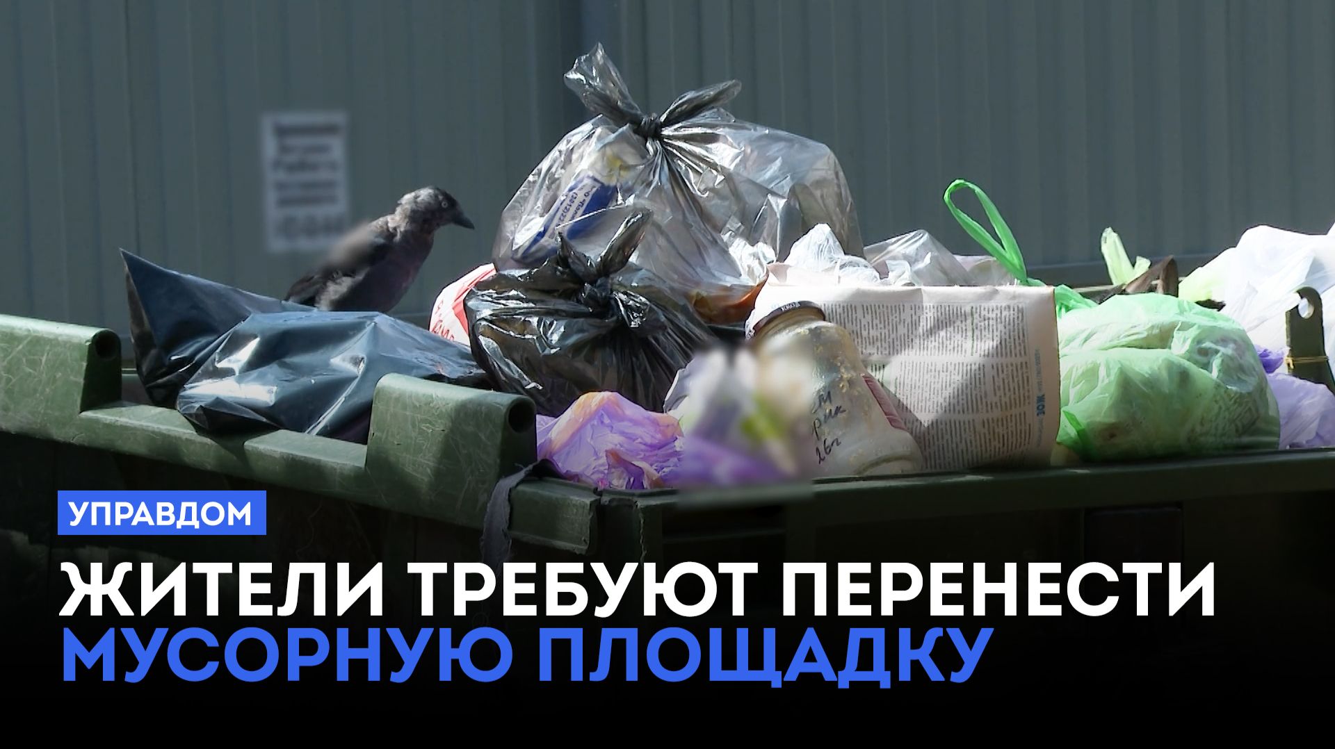 Жители требуют перенести мусорную площадку / «Управдом» (20.08.26)