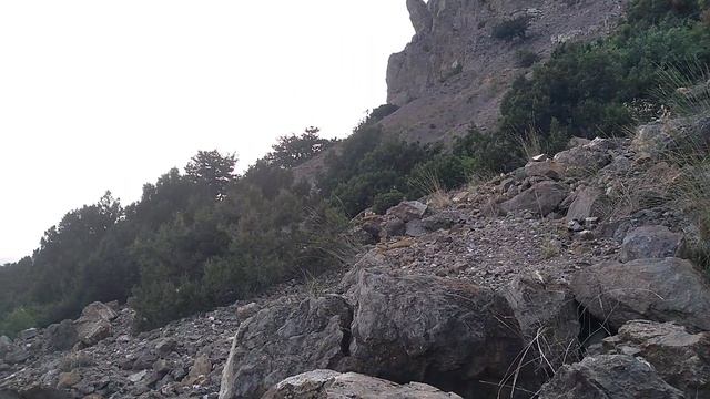 На вершине горы Алчак-Кая в Крыму красиво деревья переплетаются с огромными валунами