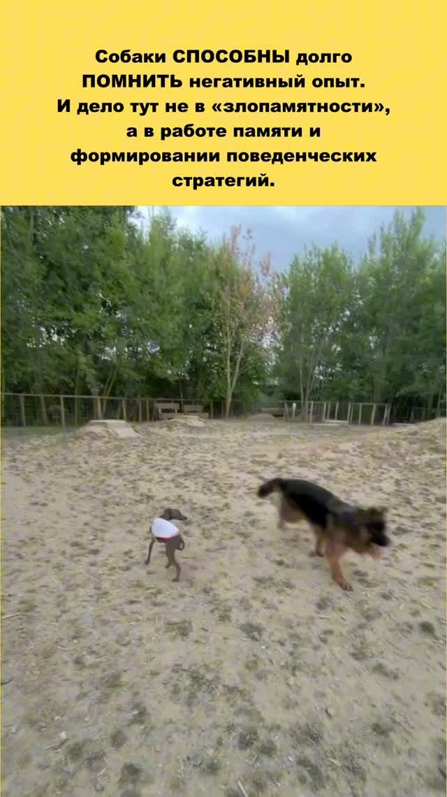 КОГДА НЕ ОТПУСКАЮТ ДЕТСКИЕ ТРАВМЫ