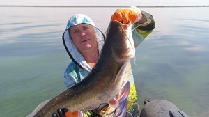 Рыбалка с дочкой! Ловим сома на квок на реке Волга! «Волгоградское море»