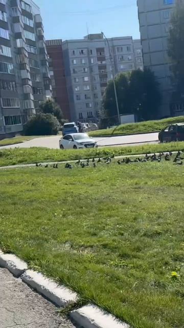 🦂🦅 МАТРИЦА ДНЯ 20 АВГУСТА #астропрогноз #гороскоп #астрология#советдня#лунный день#коридорзатмений