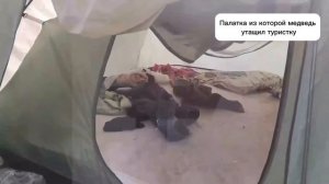 Палатка из которой медведь утащил туристку из Новосибирска в Республике Алтай на Телецком озере