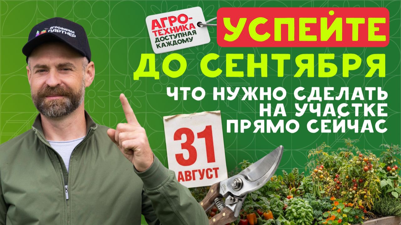 🌿 Какие работы нужно обязательно сделать в саду и огороде в конце августа и начале сентября?