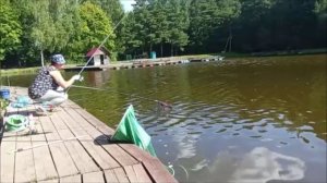 Ловим карпа на Верхнем. Клёвое место Лосиный остров.