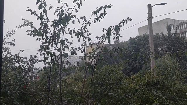 А сегодня по другому спим😉 Погода 🌫️⚡