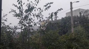 А сегодня по другому спим😉 Погода 🌫️⚡