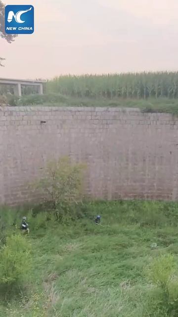 🐕В Китае спасатели вызволили бездомного пса из 10-метровой ямы