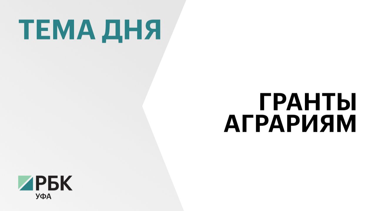Гранты на ₽156 млн получат 16 фермерских хозяйств и 2 сельхозкооператива