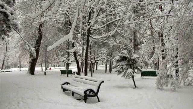 ВИА Контемпоранул Нинже (Падает снег)