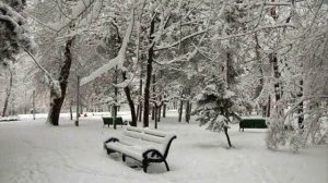 ВИА Контемпоранул Нинже (Падает снег)