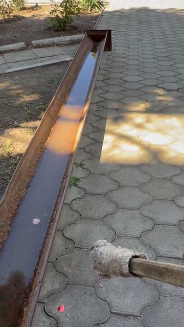 Сапоги в корыте все мыли?