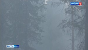 Северо-восточные районы Коми затянуло дымкой от лесных пожаров