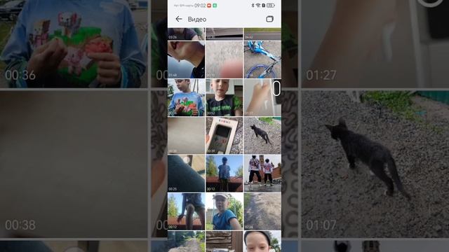 SVID_20260817_085806_1.mp4