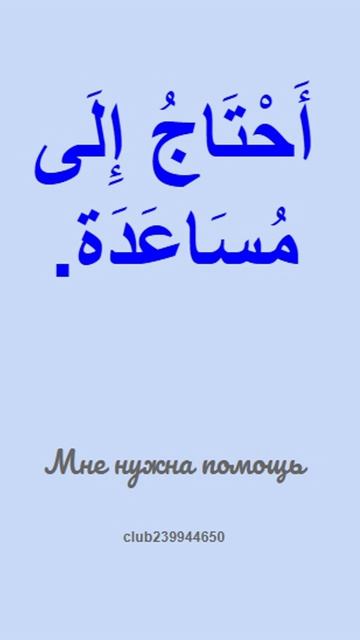 #20 фраз на арабском языке #арабскийязык #языки мира