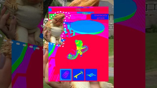 1000032749.mp4