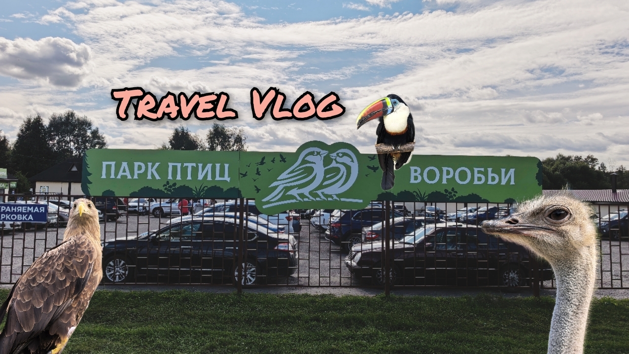 Поездка в парк птиц Воробьи
