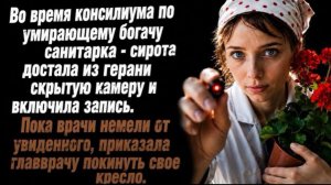Санитарка прервала консилиум по богачу и достала из герани скрытую камеру. Включив врачам запись!