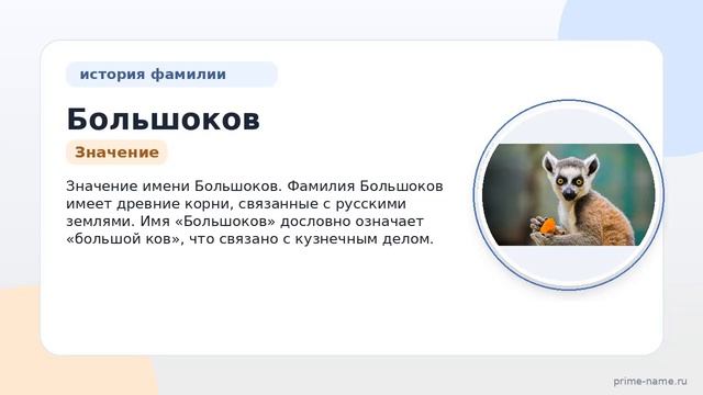 Фамилия Большоков: происхождение, значение и склонение
