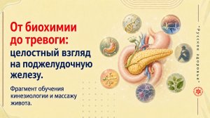 От биохимии до тревоги: целостный взгляд на поджелудочную железу . Фрагмент обучения