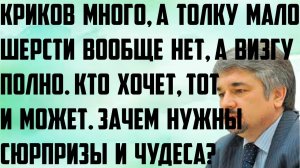 Ищенко: Криков много, а толку мало. Шерсти вообще нет.Кто хочет, тот и может.Зачем сюрпризы и чудеса