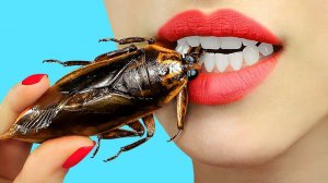 13 экзотических пранков над друзьями. Челлендж с экзотической едой