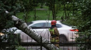 «Непогода нынче в моде»: Петербург, Калининград и Сахалин под ударом стихии