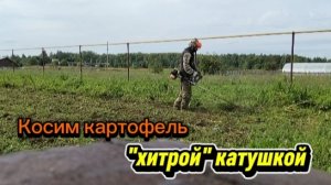 Скосил участок с картофелем. «Хитрая» катушка в деле. #114
