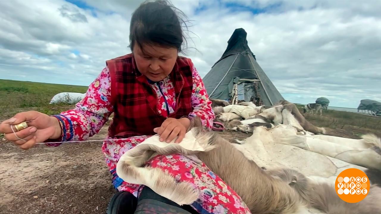 Нюки, нарты, камусы: как на Севере готовятся к зиме. Доброе утро. Фрагмент выпуска от 20.08.2026