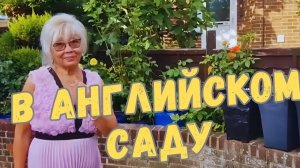 ПРЕКРАСНАЯ РОЗА В СВОЕМ САДУ. ПЕРЕД ОТЪЕЗДОМ В РОССИЮ. ИЮЛЬ 2026
