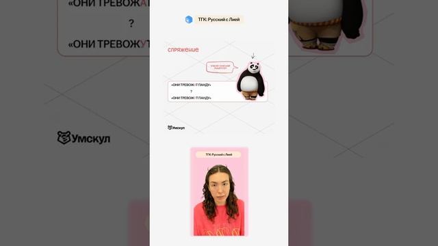 весь русский язык за 6 класс за час