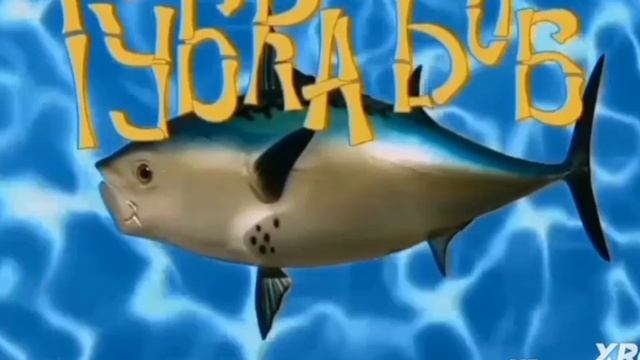 Губка Боб Посылает Всех (Заставка)