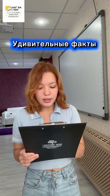 Студия
