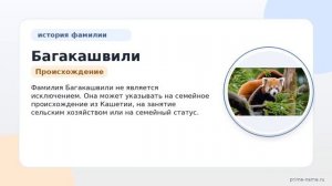 Фамилия Багакашвили: происхождение, значение и склонение