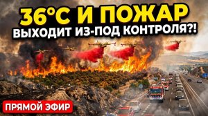Катаклизмы за неделю 20 августа❗ Землетрясение в Крыму Сегодня❗ Йеллоустон Ураган Америка Европа ЧП❗
