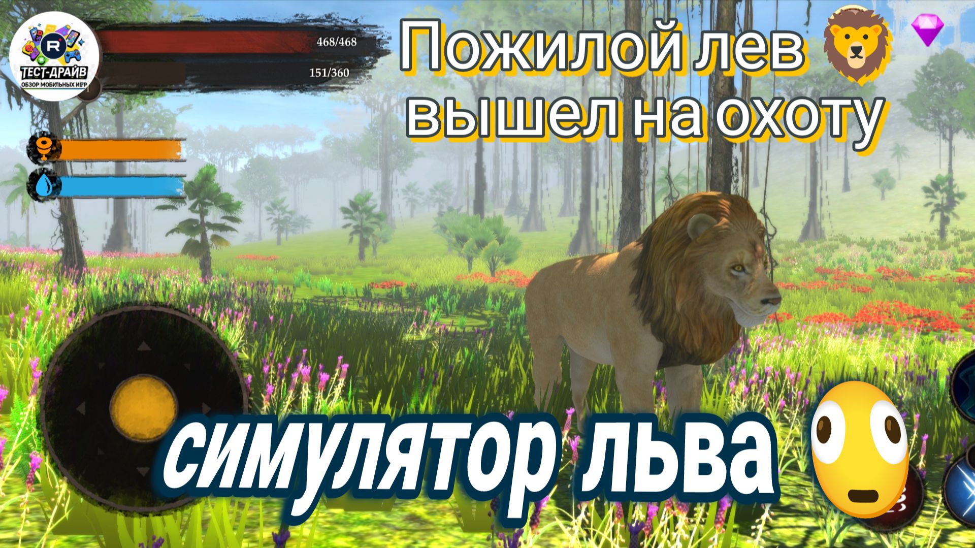 Симулятор льва - The Lion: выжить, охотиться, править прайдом — честный разбор без воды