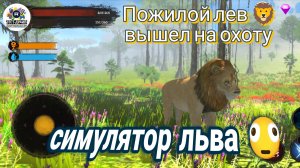Симулятор льва - The Lion: выжить, охотиться, править прайдом — честный разбор без воды