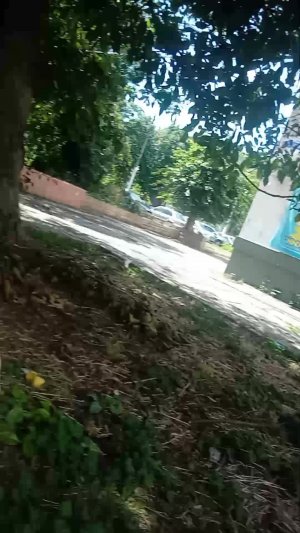 реклама