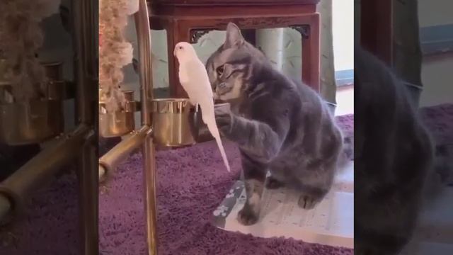 БЫВАЕТ