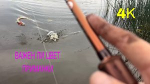 ЭКСПЕРИМЕНТ НА ВОДЕ С ЦВЕТАМИ ПРИМАНОК
