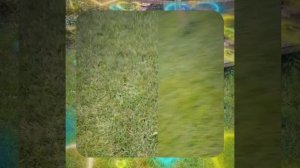 1000067592.mp4 (Собака слушает о технологии монтажа напольного отопит. конвектора в доме А-фрейм)