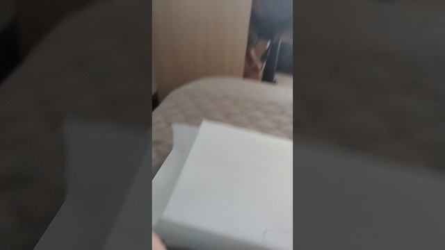 3514.mp4